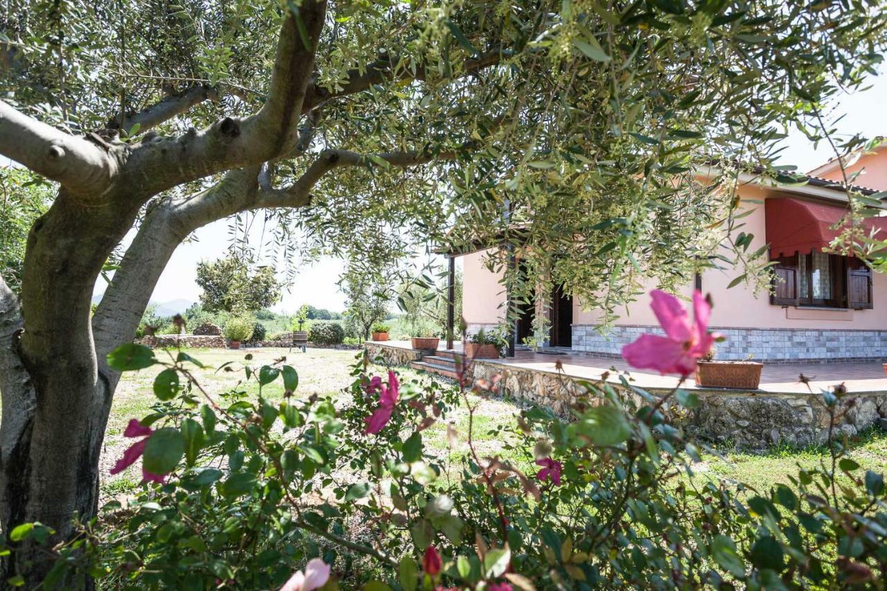Agriturismo Casale Sasso Cerveteri Exterior photo